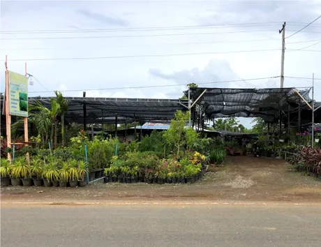 garden.png