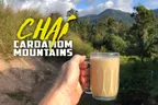 ☕ Chai Masala In The Cardamom Mountains ⛰️ & Monkey-B Massages 💆‍♂️ thumbnail