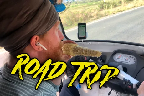 roady.png