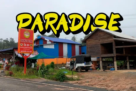 PARADISE.JPG