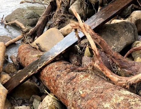 timber.png