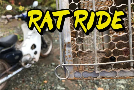RATRIDE.png