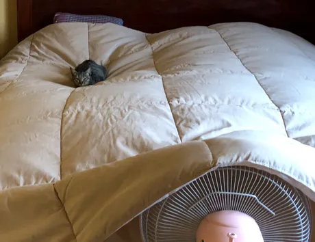 zzzzzzz.png