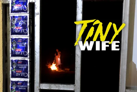 tiny.png