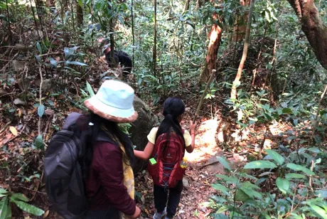 hike.gif