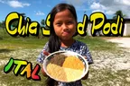 Chia Seed Podi 🔥 An Ital Recipe 🌶️ A Condiment To Make Everything More Better-er thumbnail