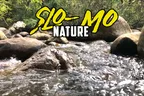 🎞️ Slo-Mo Nature 🌦️ A Little Rain & The River Is Running Again 🏞️ & Some Visa Hopes 🛃 thumbnail