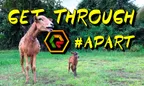 Get Through by Midnite 🙏 #APART {A Picture And Reggae Tune} 🎵 ReggaeJAHM Community thumbnail