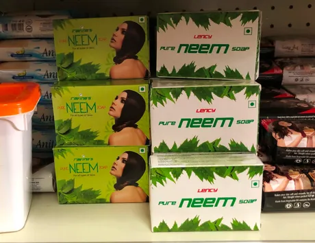 neem.JPG