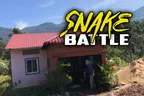 🐍  Snake Battle 🥷 Dad Vs. Aggressive Repeating Reptile Offender 🤦‍♂️ thumbnail